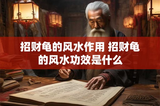招财龟的风水作用 招财龟的风水功效是什么