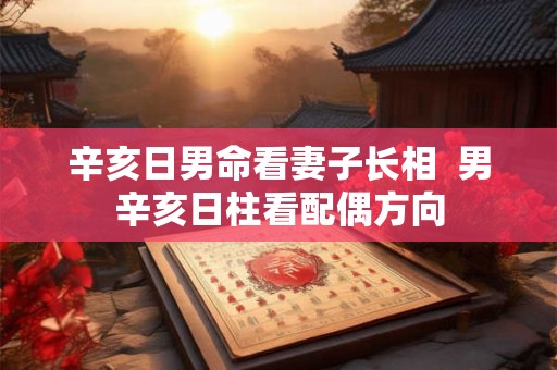 辛亥日男命看妻子长相  男辛亥日柱看配偶方向