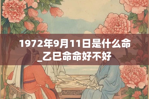 1972年9月11日是什么命_乙巳命命好不好
