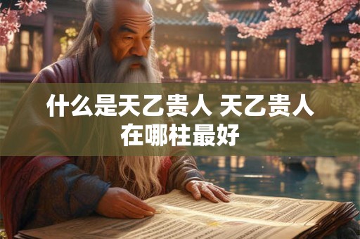 什么是天乙贵人 天乙贵人在哪柱最好 什么是天乙贵人 天乙贵人在哪柱最好