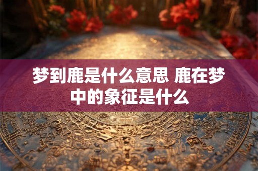梦到鹿是什么意思 鹿在梦中的象征是什么