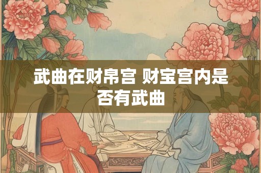 武曲在财帛宫 财宝宫内是否有武曲