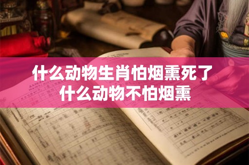 什么动物生肖怕烟熏死了 什么动物不怕烟熏 什么动物生肖怕烟熏死了 什么动物不怕烟熏