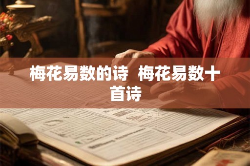 梅花易数的诗 梅花易数十首诗 梅花易数的诗 梅花易数十首诗