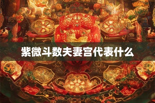 紫微斗数夫妻宫代表什么
