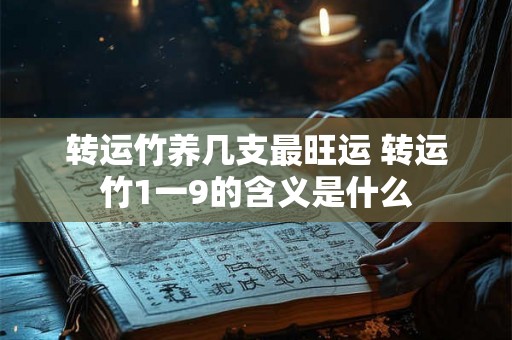 转运竹养几支最旺运 转运竹1一9的含义是什么