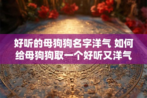 好听的母狗狗名字洋气 如何给母狗狗取一个好听又洋气的名字 好听的母狗狗名字洋气 如何给母狗狗取一个好听又洋气的名字