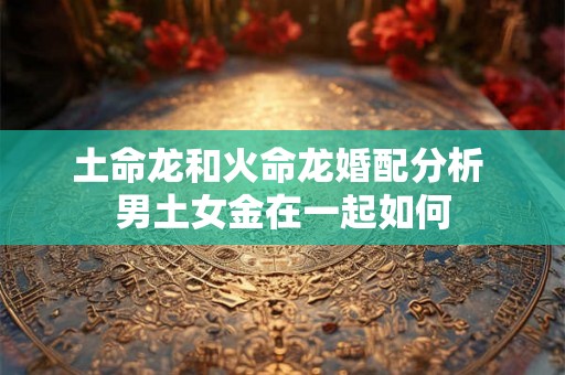 土命龙和火命龙婚配分析 男土女金在一起如何