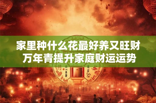 家里种什么花最好养又旺财 万年青提升家庭财运运势 家里种什么花最好养又旺财 万年青提升家庭财运运势