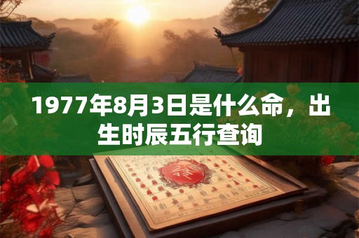 1977年8月3日是什么命，出生时辰五行查询