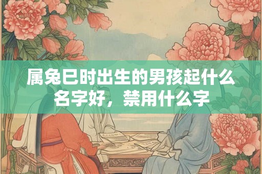 属兔巳时出生的男孩起什么名字好，禁用什么字
