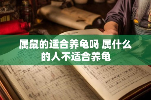 属鼠的适合养龟吗 属什么的人不适合养龟