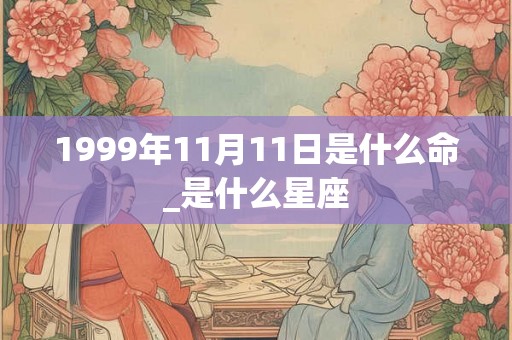 1999年11月11日是什么命_是什么星座