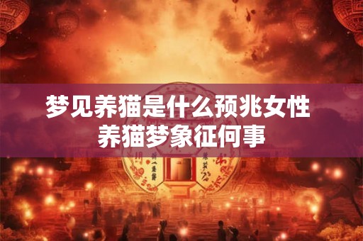 梦见养猫是什么预兆女性 养猫梦象征何事