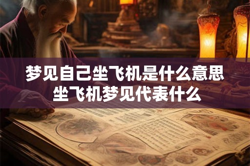 梦见自己坐飞机是什么意思 坐飞机梦见代表什么 梦见自己坐飞机是什么意思 坐飞机梦见代表什么