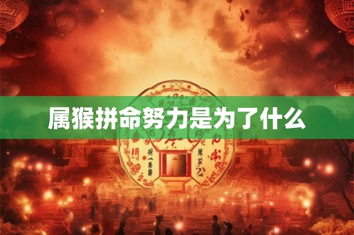 属猴拼命努力是为了什么