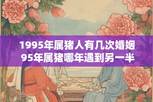 1995年属猪人有几次婚姻 95年属猪哪年遇到另一半