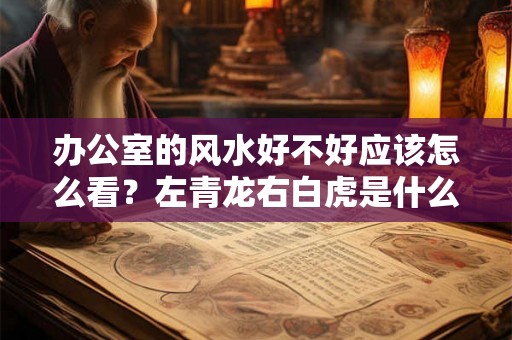 办公室的风水好不好应该怎么看？左青龙右白虎是什么？