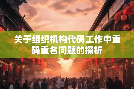 关于组织机构代码工作中重码重名问题的探析
