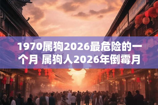 1970属狗2026最危险的一个月 属狗人2026年倒霉月份