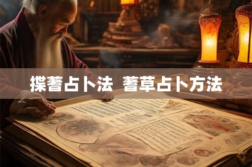 揲蓍占卜法  蓍草占卜方法