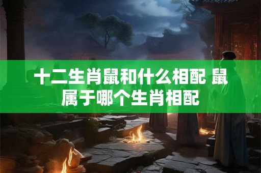 十二生肖鼠和什么相配 鼠属于哪个生肖相配