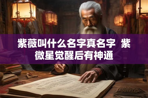 紫薇叫什么名字真名字  紫微星觉醒后有神通