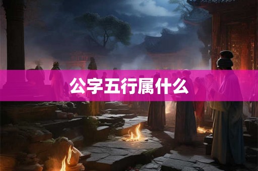 公字五行属什么 公字五行属什么