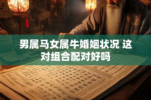 男属马女属牛婚姻状况 这对组合配对好吗