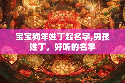 宝宝狗年姓丁起名字,男孩姓丁，好听的名字