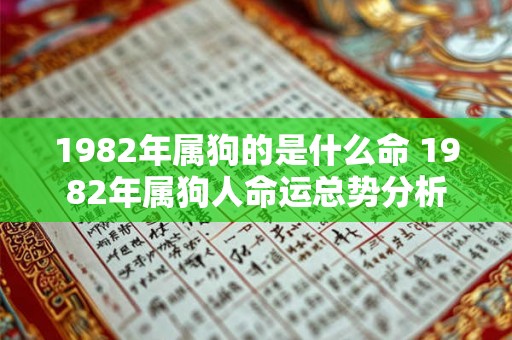 1982年属狗的是什么命 1982年属狗人命运总势分析 1982年属狗的是什么命 1982年属狗人命运总势分析