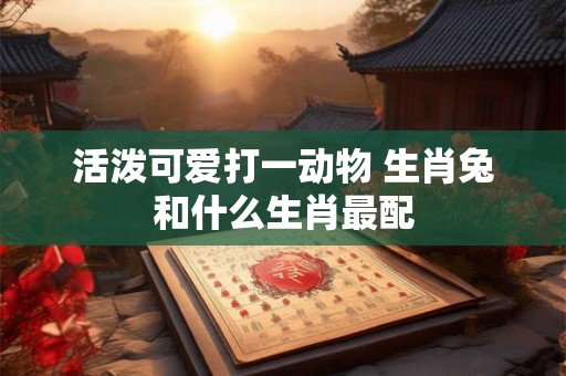 活泼可爱打一动物 生肖兔和什么生肖最配