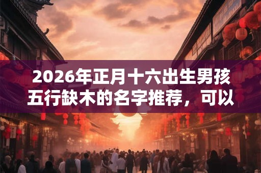 2026年正月十六出生男孩五行缺木的名字推荐，可以用什么字？