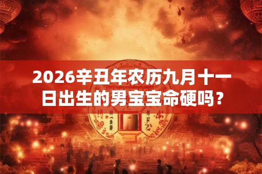 2026辛丑年农历九月十一日出生的男宝宝命硬吗？