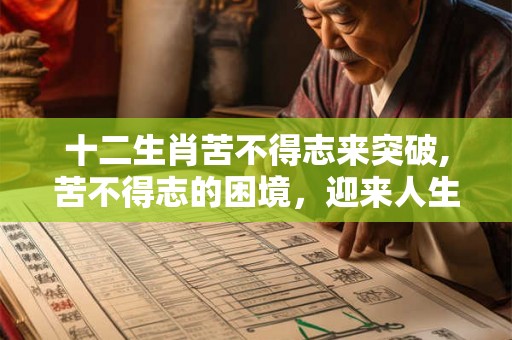 十二生肖苦不得志来突破,苦不得志的困境，迎来人生巅峰！