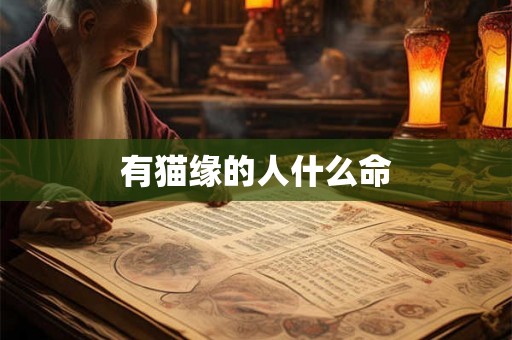 有猫缘的人什么命