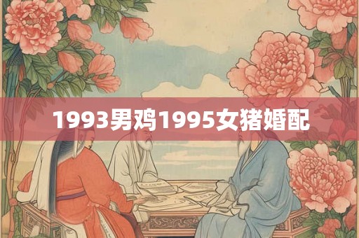 1993男鸡1995女猪婚配