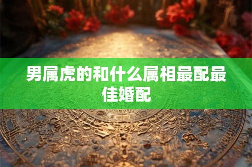 男属虎的和什么属相最配最佳婚配