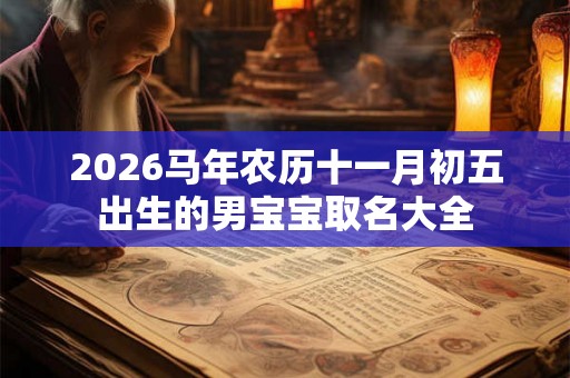 2026马年农历十一月初五出生的男宝宝取名大全