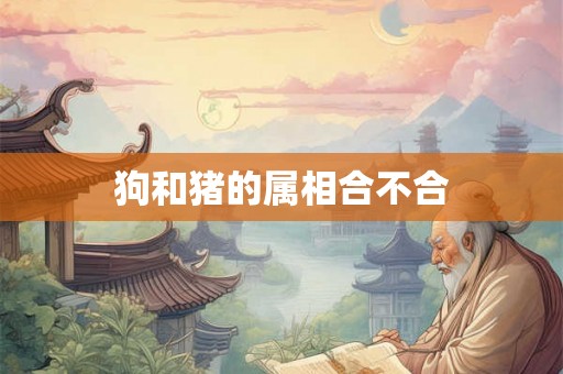 狗和猪的属相合不合