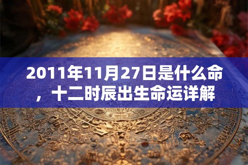 2011年11月27日是什么命,十二时辰出生命运详解 2011年11月27日是什么命,十二时辰出生命运详解