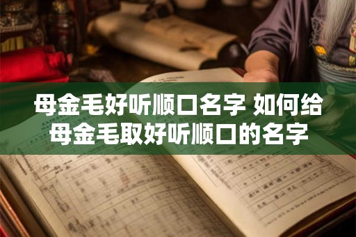 母金毛好听顺口名字 如何给母金毛取好听顺口的名字