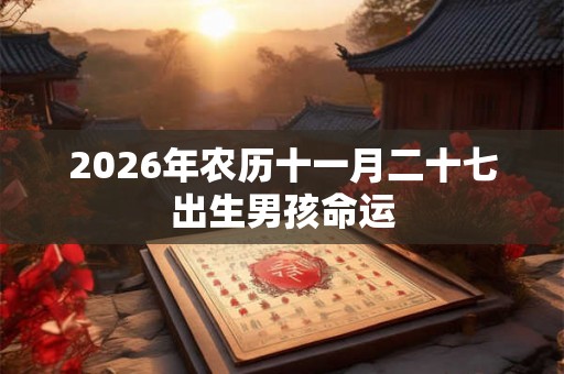 2026年农历十一月二十七出生男孩命运