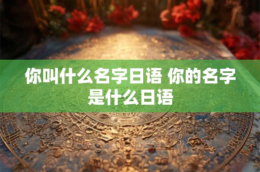 你叫什么名字日语 你的名字是什么日语