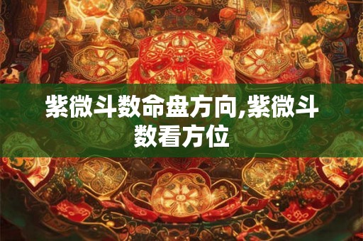 紫微斗数命盘方向,紫微斗数看方位