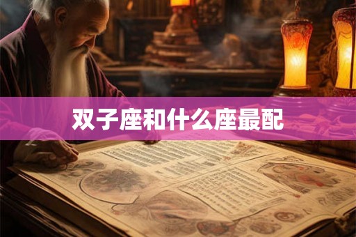 双子座和什么座最配