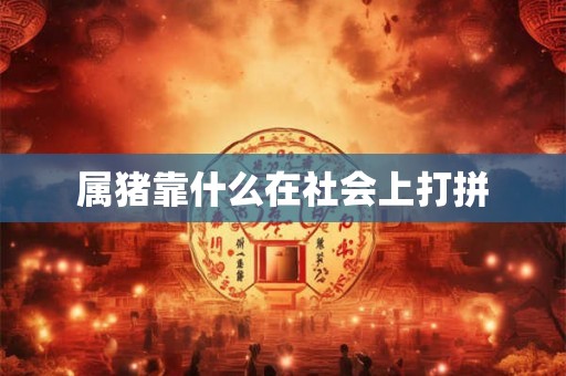 属猪靠什么在社会上打拼