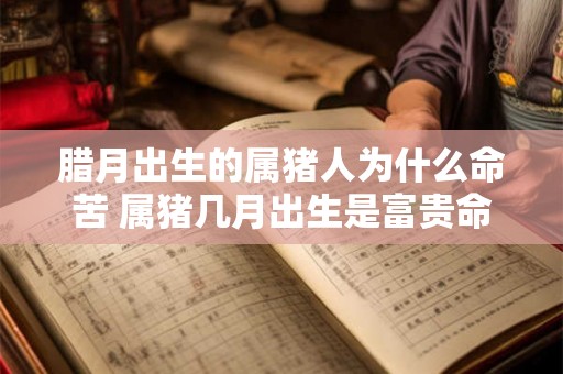 腊月出生的属猪人为什么命苦 属猪几月出生是富贵命