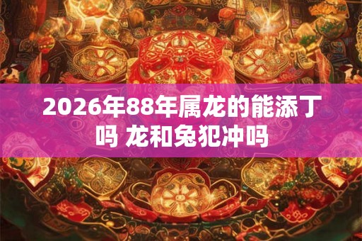 2026年88年属龙的能添丁吗 龙和兔犯冲吗