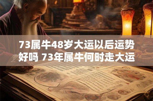 73属牛48岁大运以后运势好吗 73年属牛何时走大运